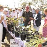 article image -